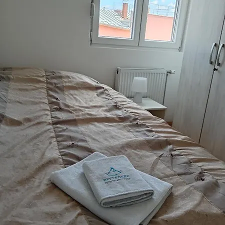 公寓 Nikolici - Free Parking 弗拉涅